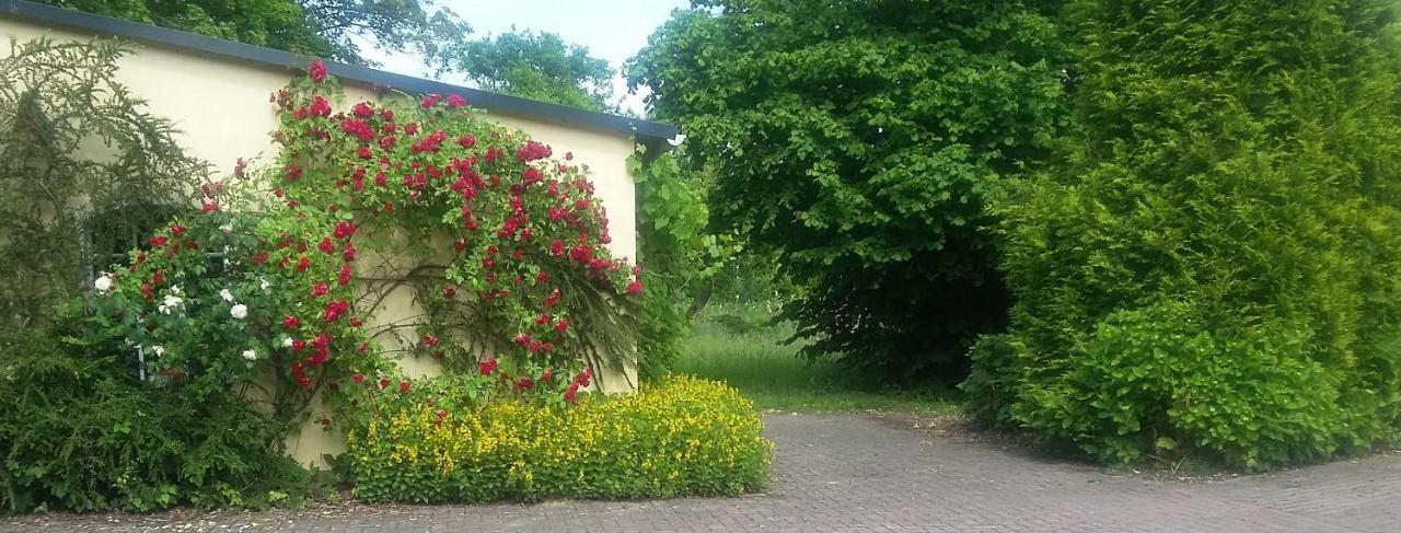 Hotel Land Und Meer Otterndorf Buitenkant foto